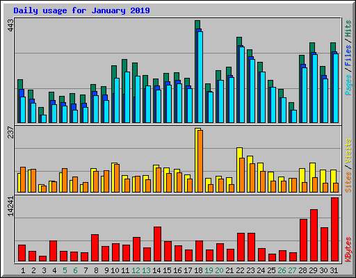 Daily usage for January 2019