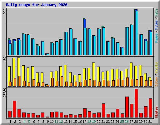 Daily usage for January 2020