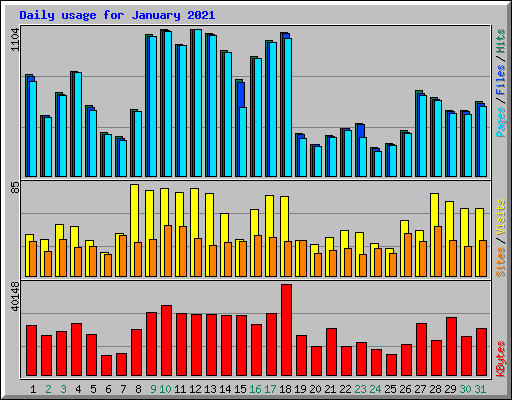 Daily usage for January 2021