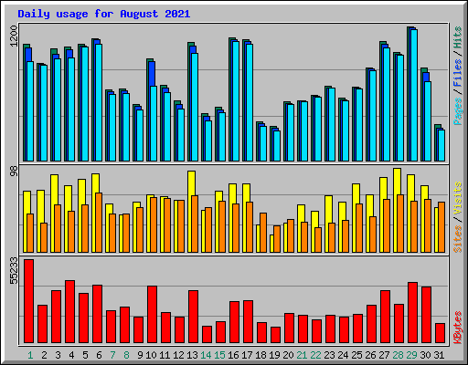 Daily usage for August 2021