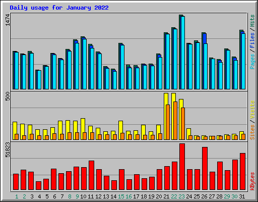 Daily usage for January 2022