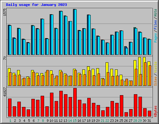 Daily usage for January 2023