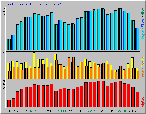 Daily usage for January 2024