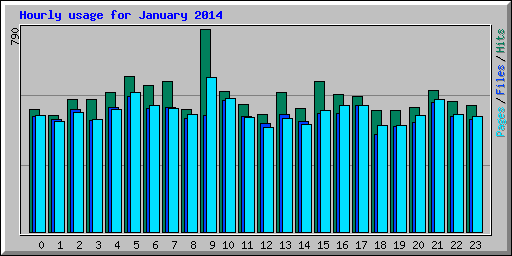 Hourly usage for January 2014