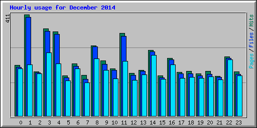 Hourly usage for December 2014