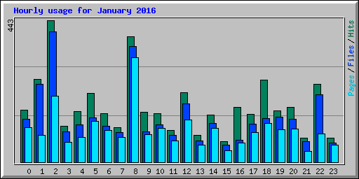 Hourly usage for January 2016