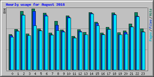 Hourly usage for August 2016