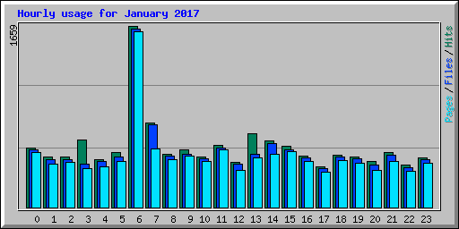 Hourly usage for January 2017
