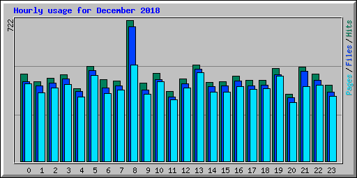 Hourly usage for December 2018