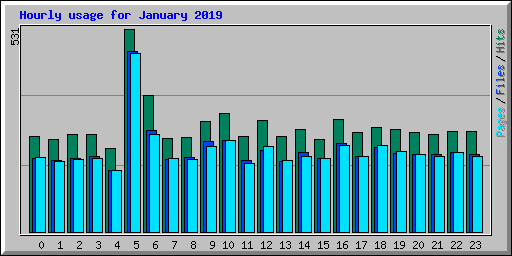 Hourly usage for January 2019