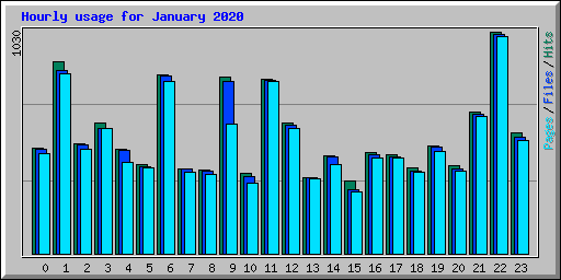 Hourly usage for January 2020
