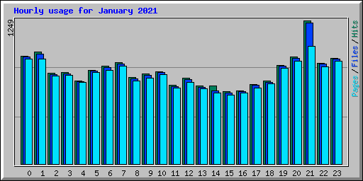 Hourly usage for January 2021