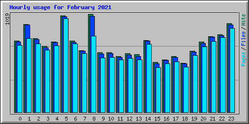 Hourly usage for February 2021