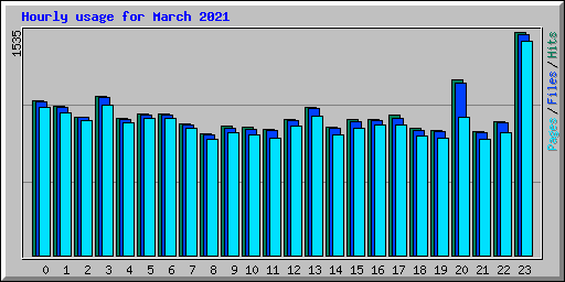 Hourly usage for March 2021