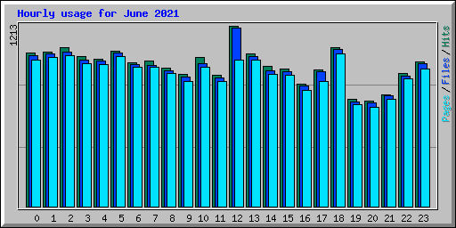 Hourly usage for June 2021