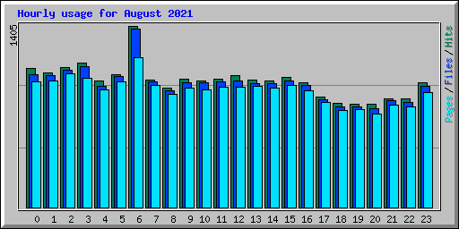 Hourly usage for August 2021