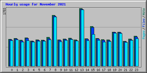Hourly usage for November 2021