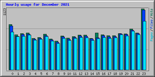 Hourly usage for December 2021