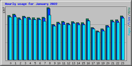 Hourly usage for January 2022