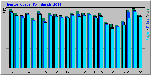 Hourly usage for March 2022
