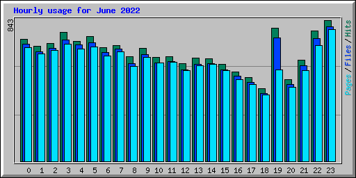 Hourly usage for June 2022
