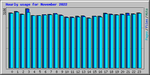 Hourly usage for November 2022