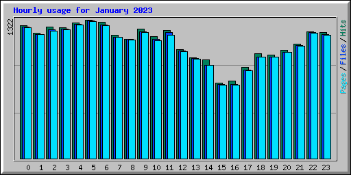 Hourly usage for January 2023