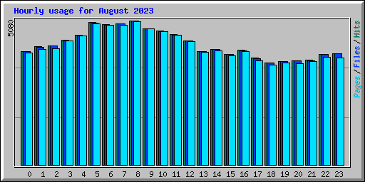 Hourly usage for August 2023