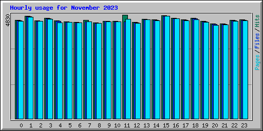 Hourly usage for November 2023