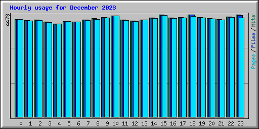 Hourly usage for December 2023