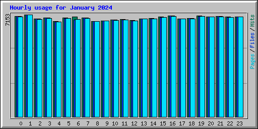 Hourly usage for January 2024