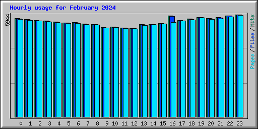 Hourly usage for February 2024