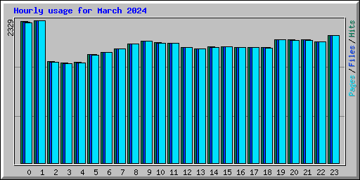Hourly usage for March 2024